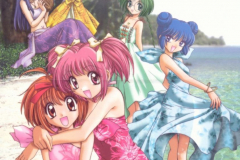 The girls of Tokyo Mew Mew