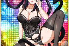 Kuroka from High School DxD