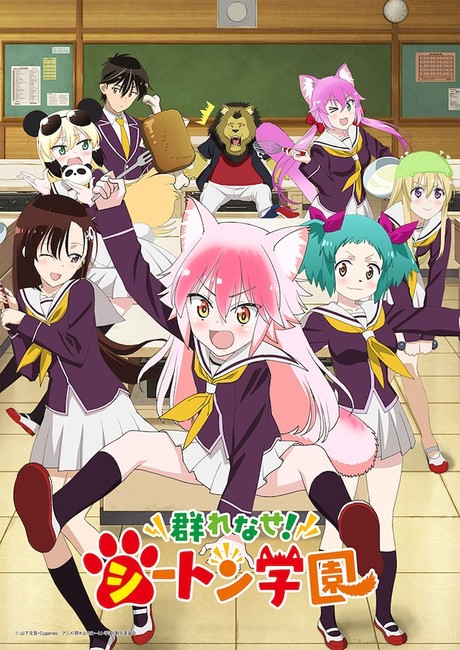 Seton Academy Official Art