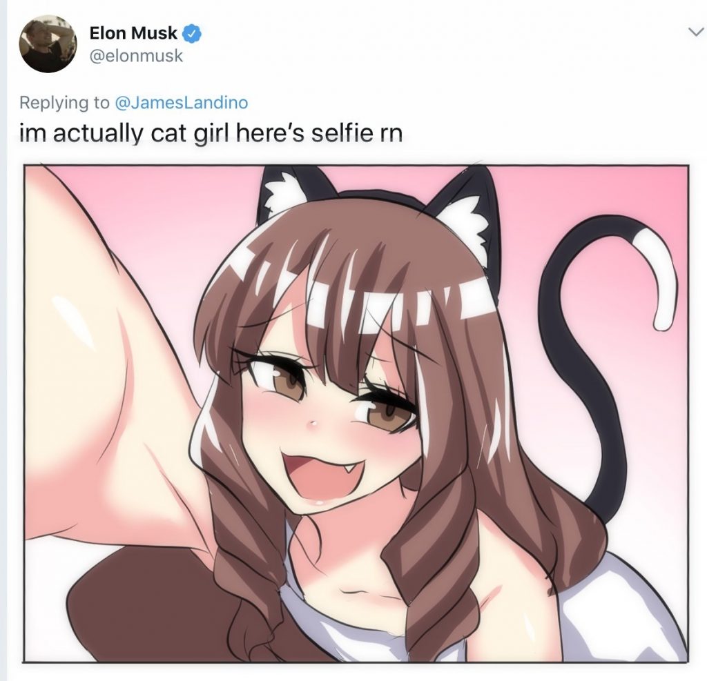 Elon Musk catgirl selfie by Princess Hinghoi