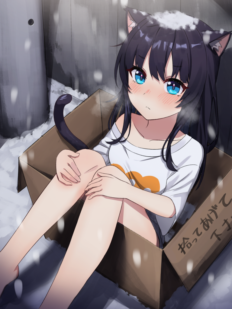 A catgirl in a box in the snow Art by araman