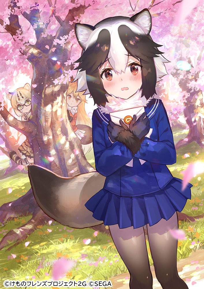 Margay and Ezo Red Fox watch a flustered Tanuki Official Kemono Friends art by Fuzichoco